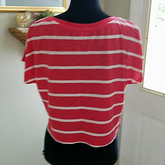 2 short sleeve, short tshirt, medium - Picture 3 of 8